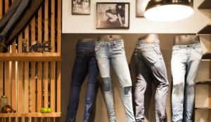 Lee plants retail roots in Sydney
